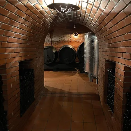 Zidanica Jakec Wine House & Scenic Views בית נופש