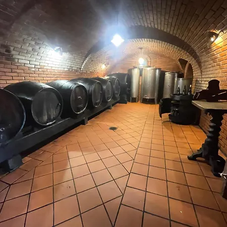 Zidanica Jakec Wine House & Scenic Views *