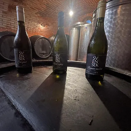 Zidanica Jakec Wine House & Scenic Views