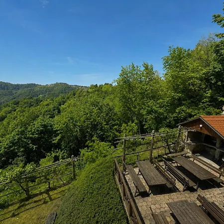 Zidanica Jakec Wine House & Scenic Views * Podlehnik